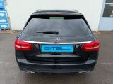 Mercedes-Benz C 250T CGI AMG bei Reisemobile.expert - Abbildung (6 / 15)