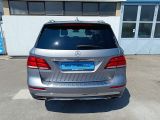 Mercedes-Benz GLE 500e 4Matic bei Reisemobile.expert - Abbildung (6 / 15)