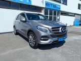 Mercedes-Benz GLE 500e 4Matic bei Reisemobile.expert - Abbildung (2 / 15)