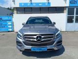 Mercedes-Benz GLE 500e 4Matic bei Reisemobile.expert - Abbildung (5 / 15)