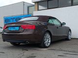 Audi A5 bei Reisemobile.expert - Abbildung (3 / 15)