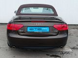 Audi A5 bei Reisemobile.expert - Abbildung (6 / 15)