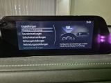 Mazda CX-30 bei Reisemobile.expert - Abbildung (15 / 15)