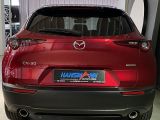 Mazda CX-30 bei Reisemobile.expert - Abbildung (5 / 15)