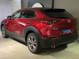 Mazda CX-30 bei Reisemobile.expert - Abbildung (4 / 15)