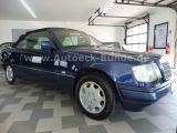 Mercedes-Benz 220 bei Reisemobile.expert - Abbildung (4 / 15)