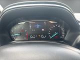 Ford Fiesta bei Reisemobile.expert - Abbildung (14 / 15)