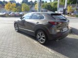 Mazda CX-30 bei Reisemobile.expert - Abbildung (8 / 13)