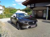 Mazda CX-30 bei Reisemobile.expert - Abbildung (4 / 13)