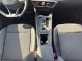Cupra Formentor bei Reisemobile.expert - Abbildung (13 / 15)