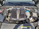 Audi A4 bei Reisemobile.expert - Abbildung (15 / 15)