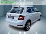 Skoda Fabia bei Reisemobile.expert - Abbildung (4 / 15)