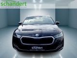 Skoda Octavia bei Reisemobile.expert - Abbildung (5 / 15)