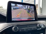 Ford Kuga bei Reisemobile.expert - Abbildung (13 / 15) Ford Kuga bei Reisemobile.expert - Abbildung (13 / 15)