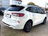 Ford Kuga bei Reisemobile.expert - Abbildung (4 / 15)