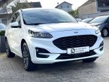 Ford Kuga bei Reisemobile.expert - Abbildung (2 / 15)