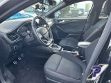 Ford Focus ST bei Reisemobile.expert - Abbildung (12 / 15)