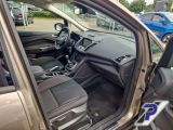 Ford C-MAX bei Reisemobile.expert - Abbildung (14 / 15)