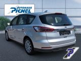 Ford S-Max bei Reisemobile.expert - Abbildung (3 / 15)