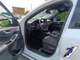 Ford Kuga bei Reisemobile.expert - Abbildung (12 / 15)