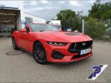 Ford Mustang bei Reisemobile.expert - Abbildung (7 / 15)