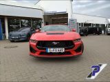Ford Mustang bei Reisemobile.expert - Abbildung (8 / 15)