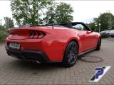 Ford Mustang bei Reisemobile.expert - Abbildung (5 / 15)