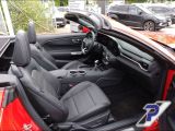Ford Mustang bei Reisemobile.expert - Abbildung (14 / 15)