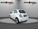 Fiat 500 bei Reisemobile.expert - Abbildung (4 / 15)