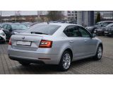 Skoda Octavia bei Reisemobile.expert - Abbildung (5 / 15)