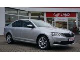 Skoda Octavia bei Reisemobile.expert - Abbildung (6 / 15)