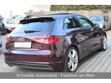 Audi A3 bei Reisemobile.expert - Abbildung (5 / 15) Audi A3 bei Reisemobile.expert - Abbildung (5 / 15)