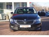 Skoda Octavia bei Reisemobile.expert - Abbildung (3 / 15)