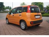 Fiat Panda bei Reisemobile.expert - Abbildung (3 / 15) Fiat Panda bei Reisemobile.expert - Abbildung (3 / 15)