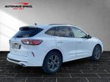 Ford Kuga bei Reisemobile.expert - Abbildung (4 / 15)