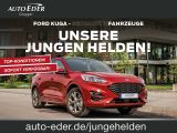 Ford Focus ST bei Reisemobile.expert - Abbildung (2 / 4)