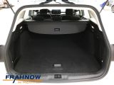 Ford Focus Turnier bei Reisemobile.expert - Abbildung (11 / 15)