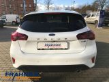 Ford Focus bei Reisemobile.expert - Abbildung (5 / 15)