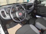 Fiat Panda bei Reisemobile.expert - Abbildung (7 / 10)