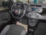 Fiat Panda bei Reisemobile.expert - Abbildung (6 / 10)