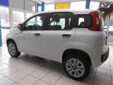 Fiat Panda bei Reisemobile.expert - Abbildung (3 / 10)