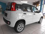 Fiat Panda bei Reisemobile.expert - Abbildung (4 / 10)