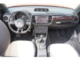 VW Beetle bei Reisemobile.expert - Abbildung (14 / 15)