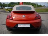 VW Beetle bei Reisemobile.expert - Abbildung (6 / 15)
