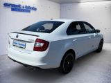 Skoda Rapid bei Reisemobile.expert - Abbildung (3 / 15)