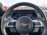 Ford Mustang bei Reisemobile.expert - Abbildung (8 / 15)