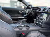 Ford Mustang bei Reisemobile.expert - Abbildung (15 / 15)