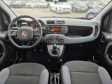 Fiat Panda bei Reisemobile.expert - Abbildung (12 / 15)