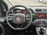 Fiat Panda bei Reisemobile.expert - Abbildung (13 / 15)