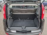 Fiat Panda bei Reisemobile.expert - Abbildung (5 / 15)